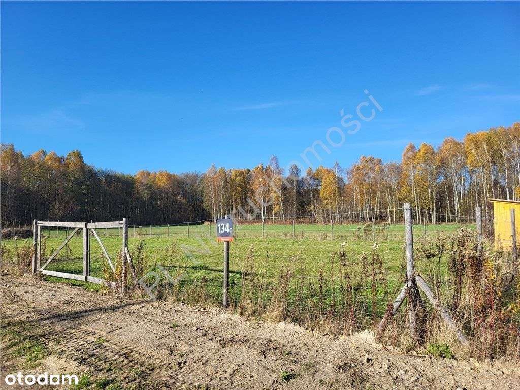 Malownicza nieruchomość - piękny widok-1