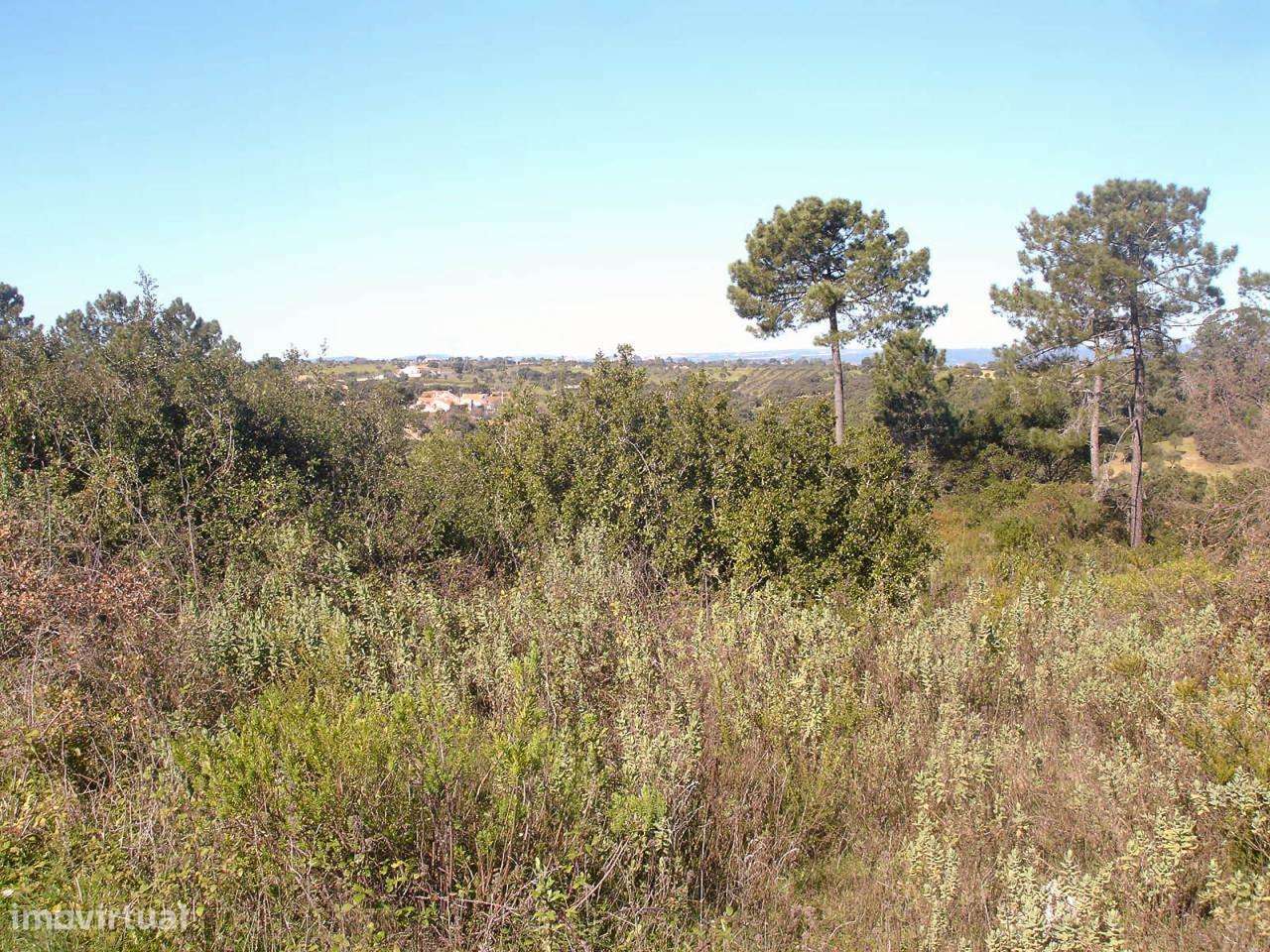 Terreno com 16.440m2 - Grande imagem: 3/6