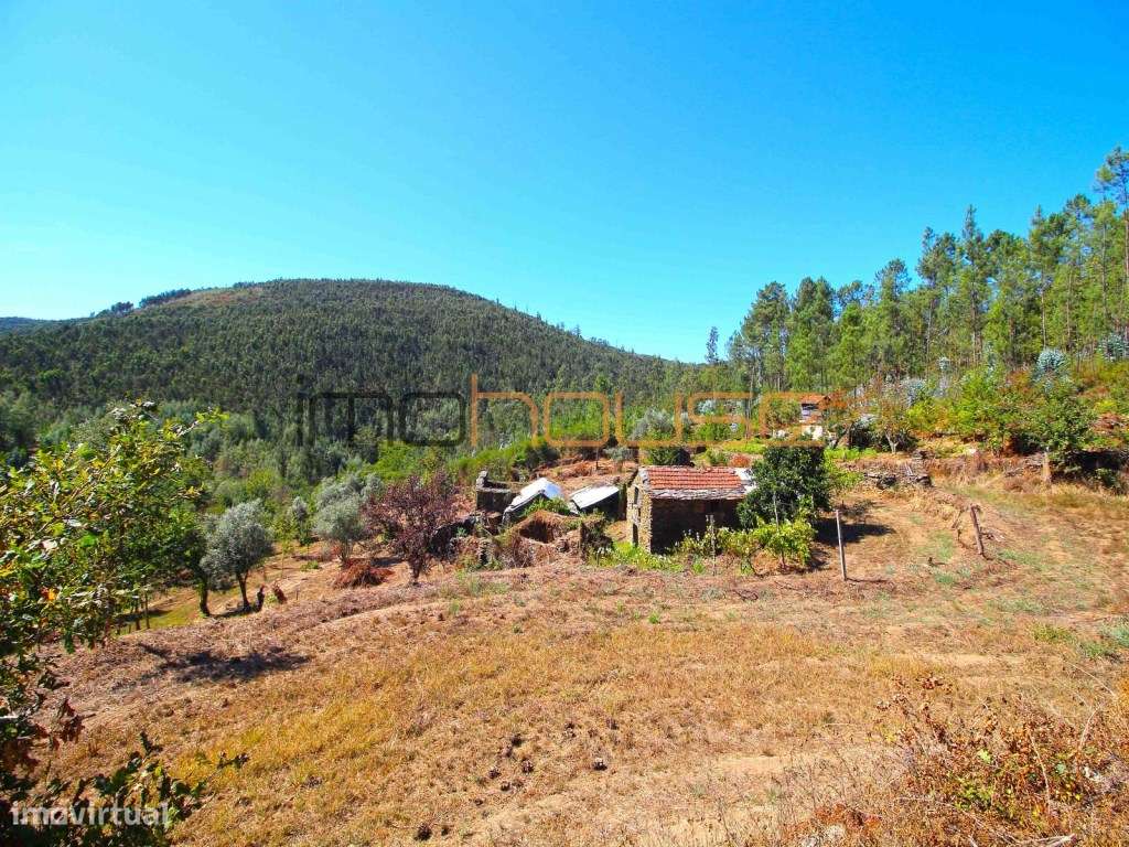 Quinta Isolada com Margem de Rio e Potencial de Eco-Retiro - Arouca-6