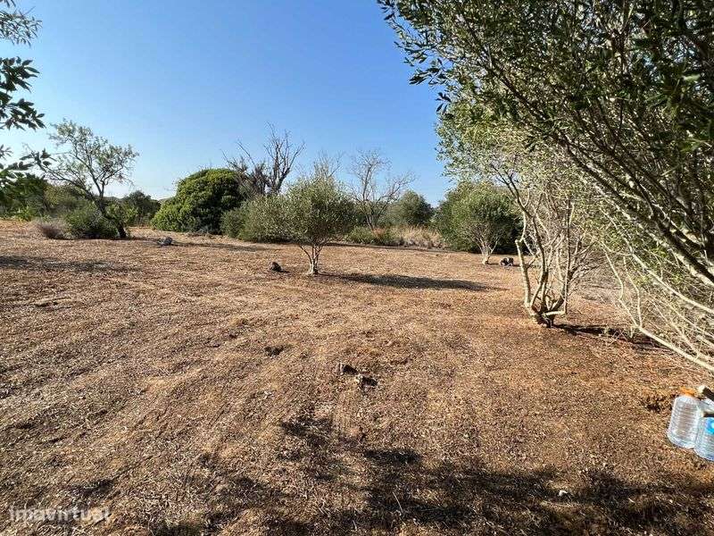 Terreno rústico sito junto à zona urbana de Algoz - Grande imagem: 4/12