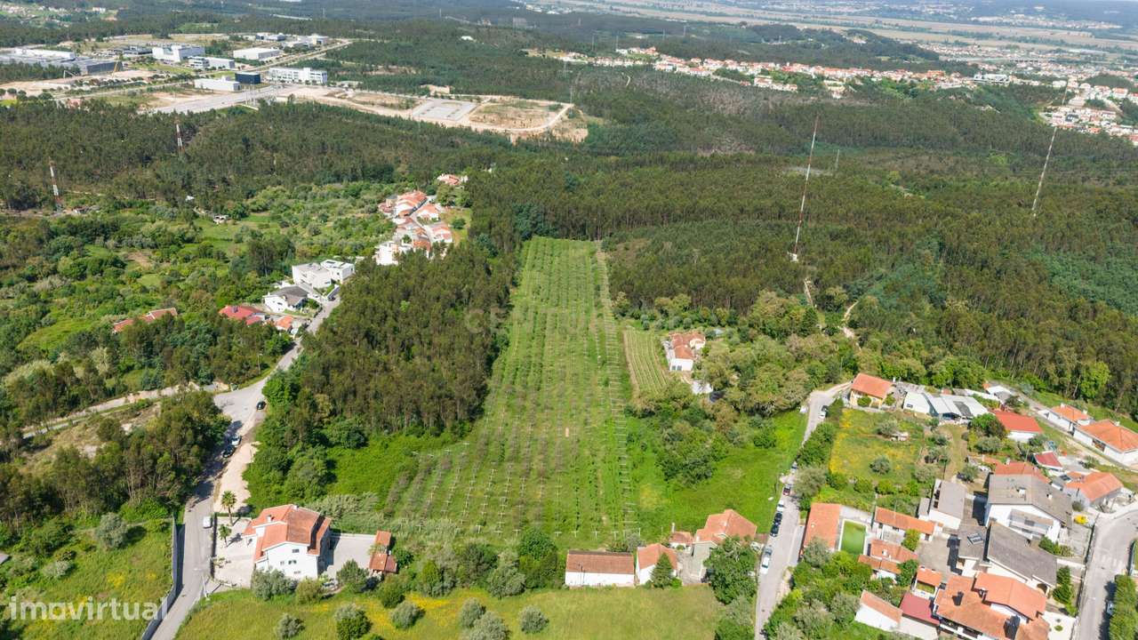 Quinta com 8 hectares com potencial para construção – Antanhol - Coimb-11