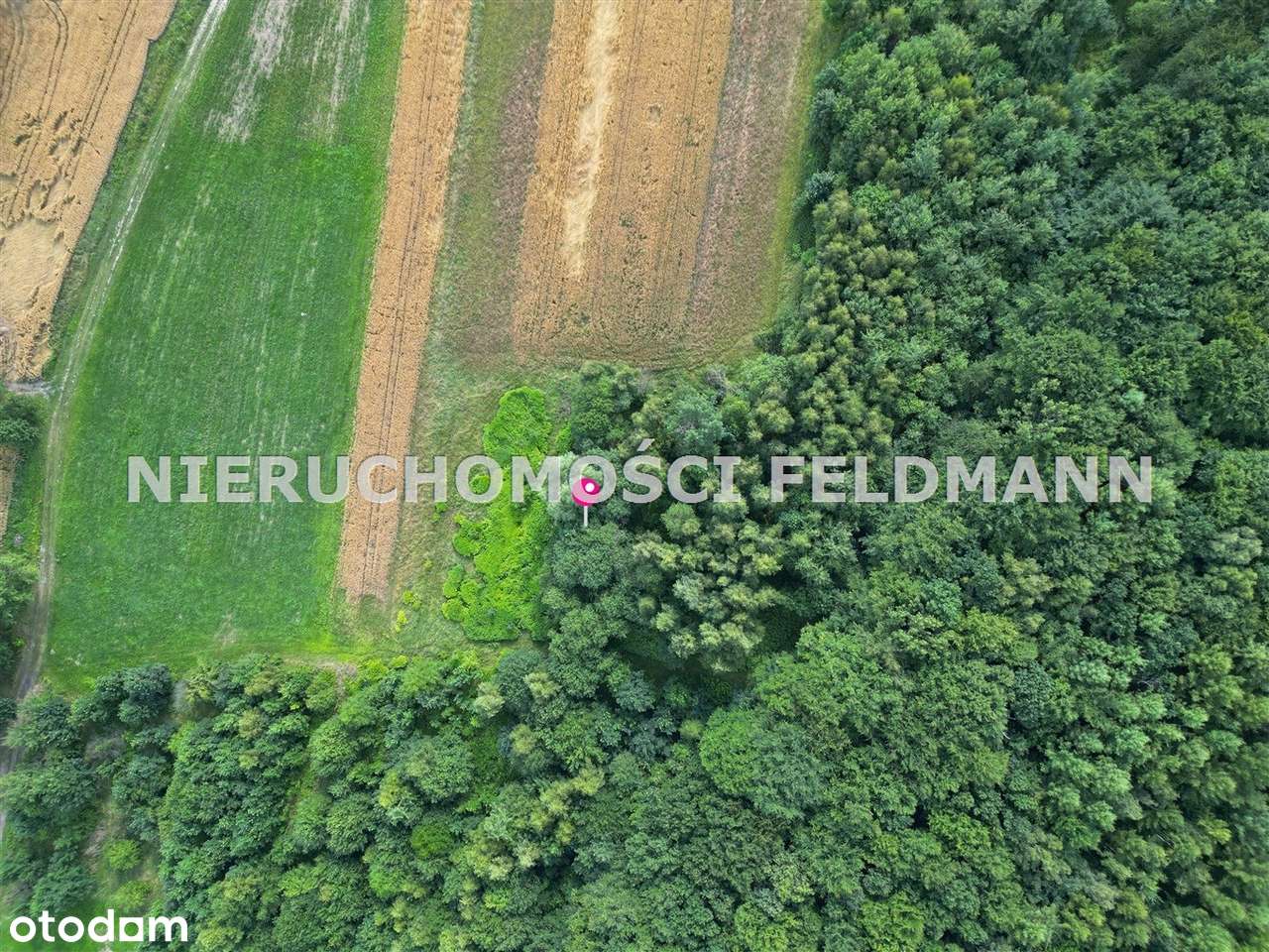 Działka rolna 3424 m² – Repty Śląskie – Spokojna okolica – 100 zł/m² - Pełny obrazek: 4/7