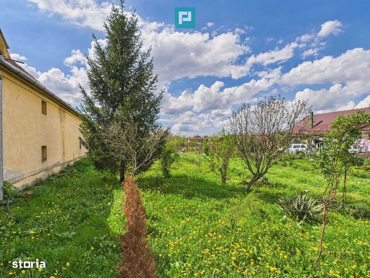 Teren 1300 mp, Beregsău Mare - Imagine principală: 5/5