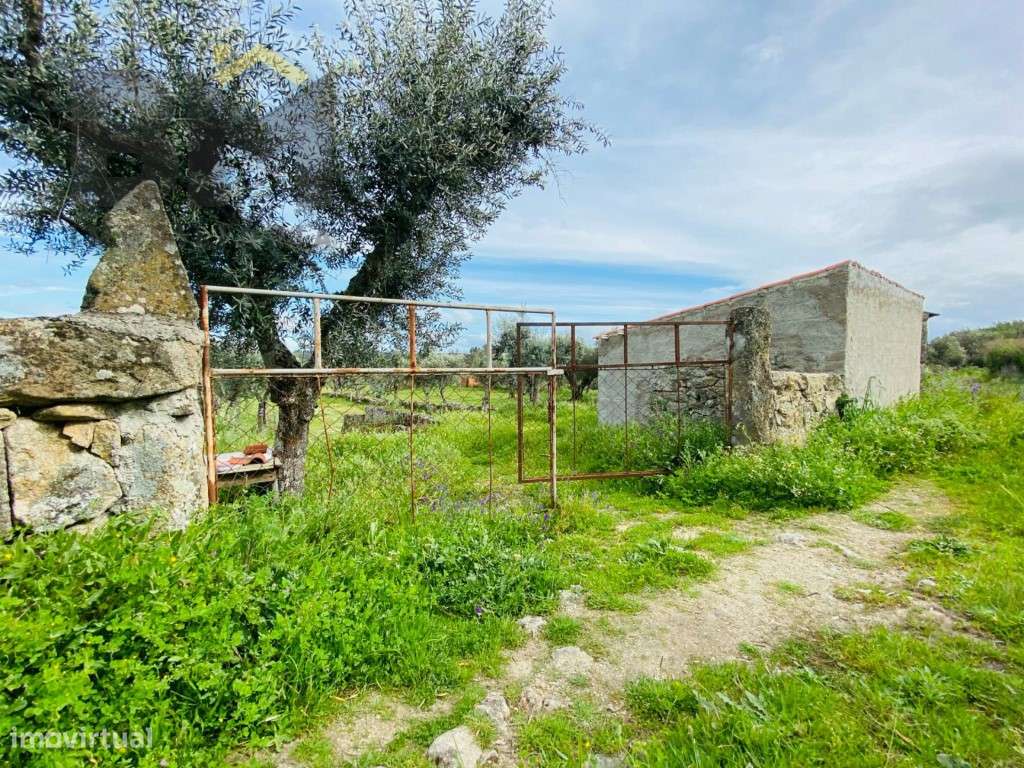 Quinta em zona rural tranquila - Grande imagem: 2/18