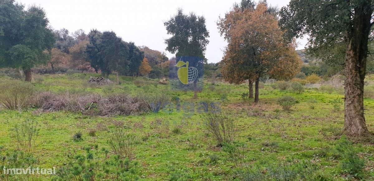 Terreno Arruda dos Vinhos - Grande imagem: 2/19