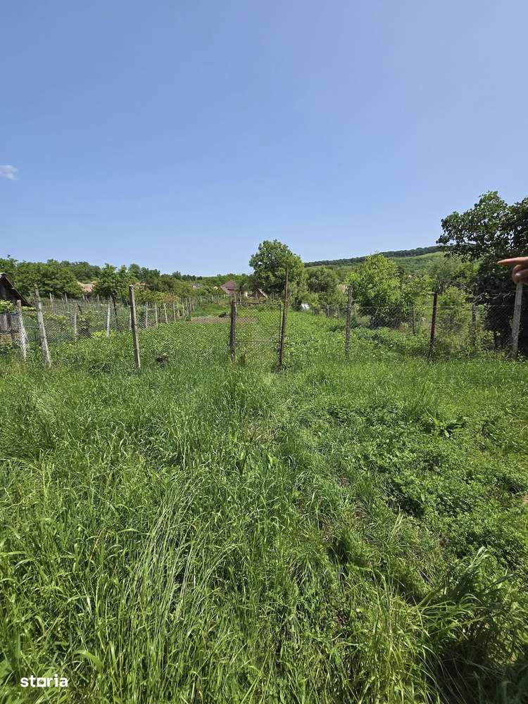 Casa, 145 m²,  - Imagine principală: 4/15