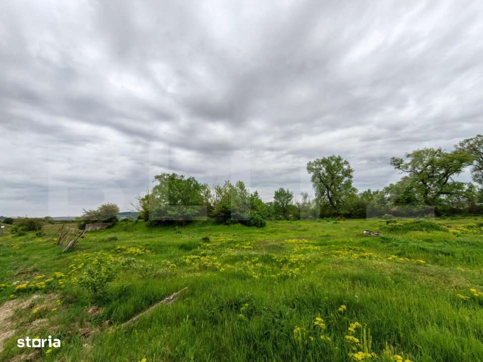 Teren intravilan 6010 mp, zona Sebes - Imagine principală: 5/6