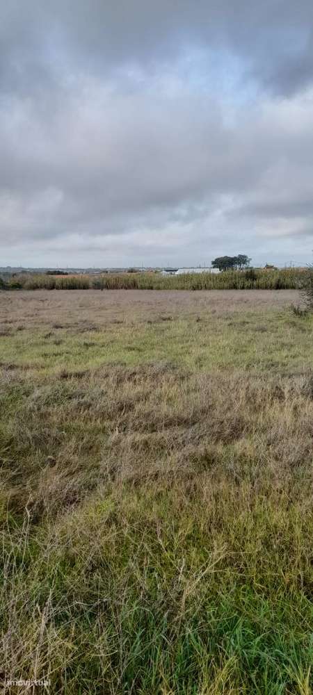 Palmela/ Cabanas Terreno com 1,5 Ha para construção de moradias.-7