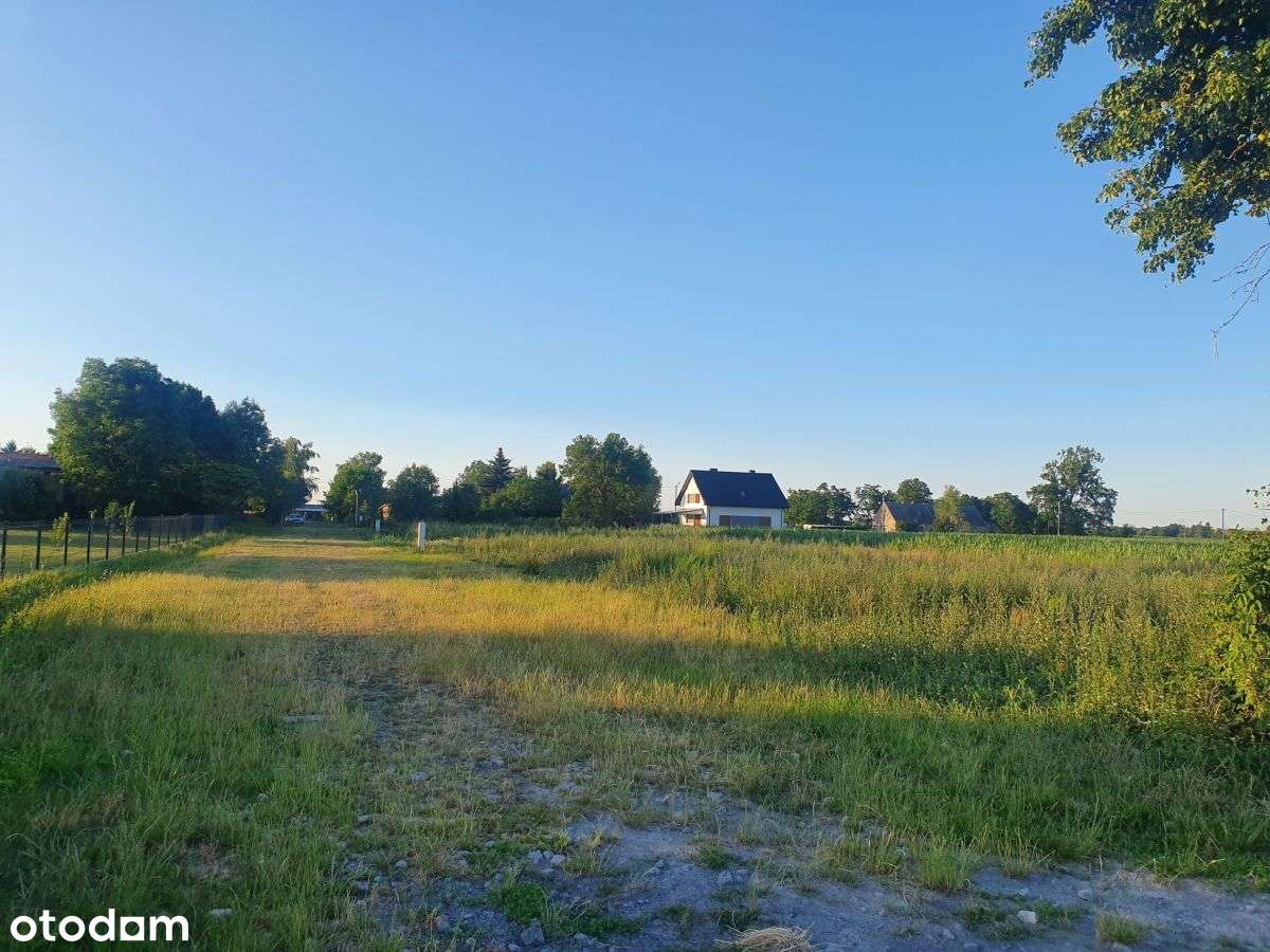 Goniczki k/Wrześni działka budowlana-10