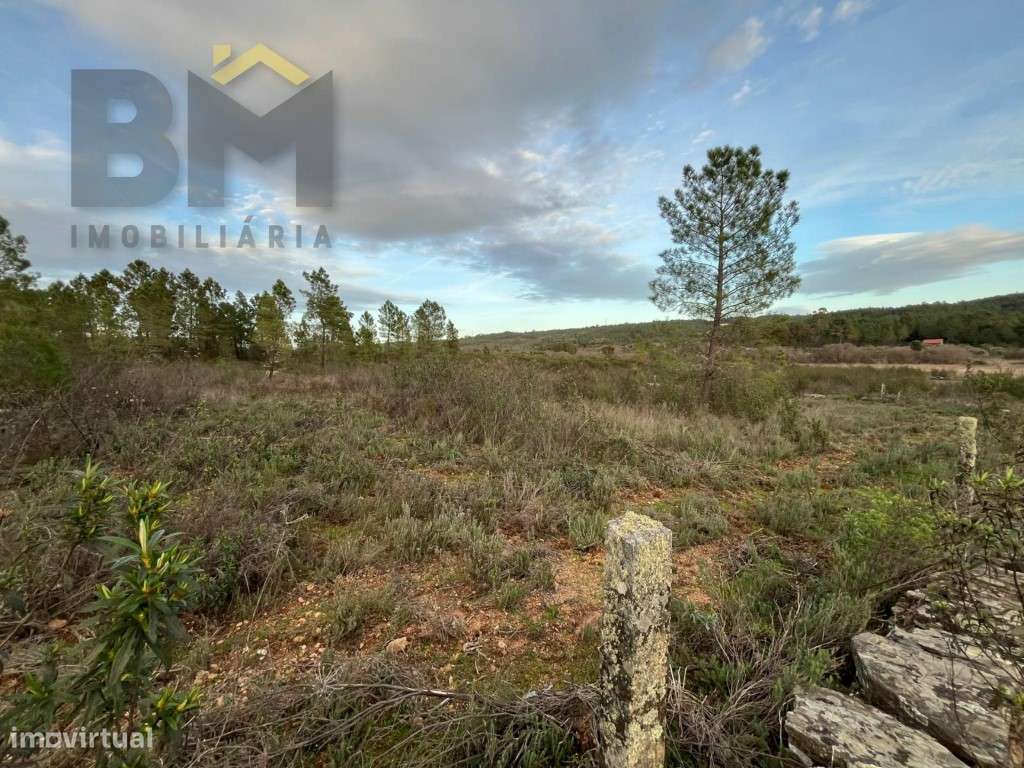 Terreno rústico com 17.160m2 para venda no Freixial do Campo! - Grande imagem: 5/8