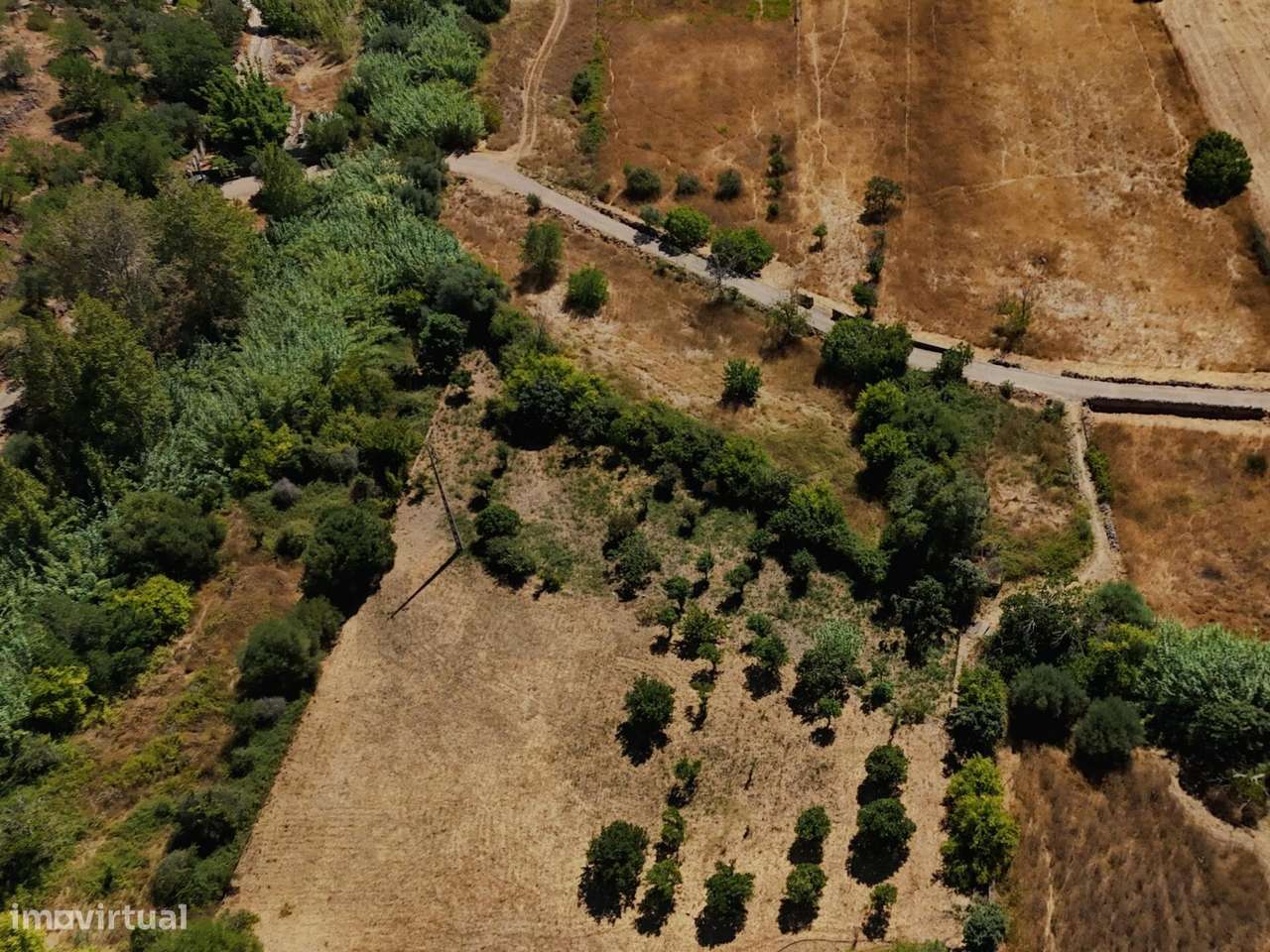 Terreno Rustico 2680m2 | Pontes | Salir | Eletricidade e água a porta - Grande imagem: 5/15