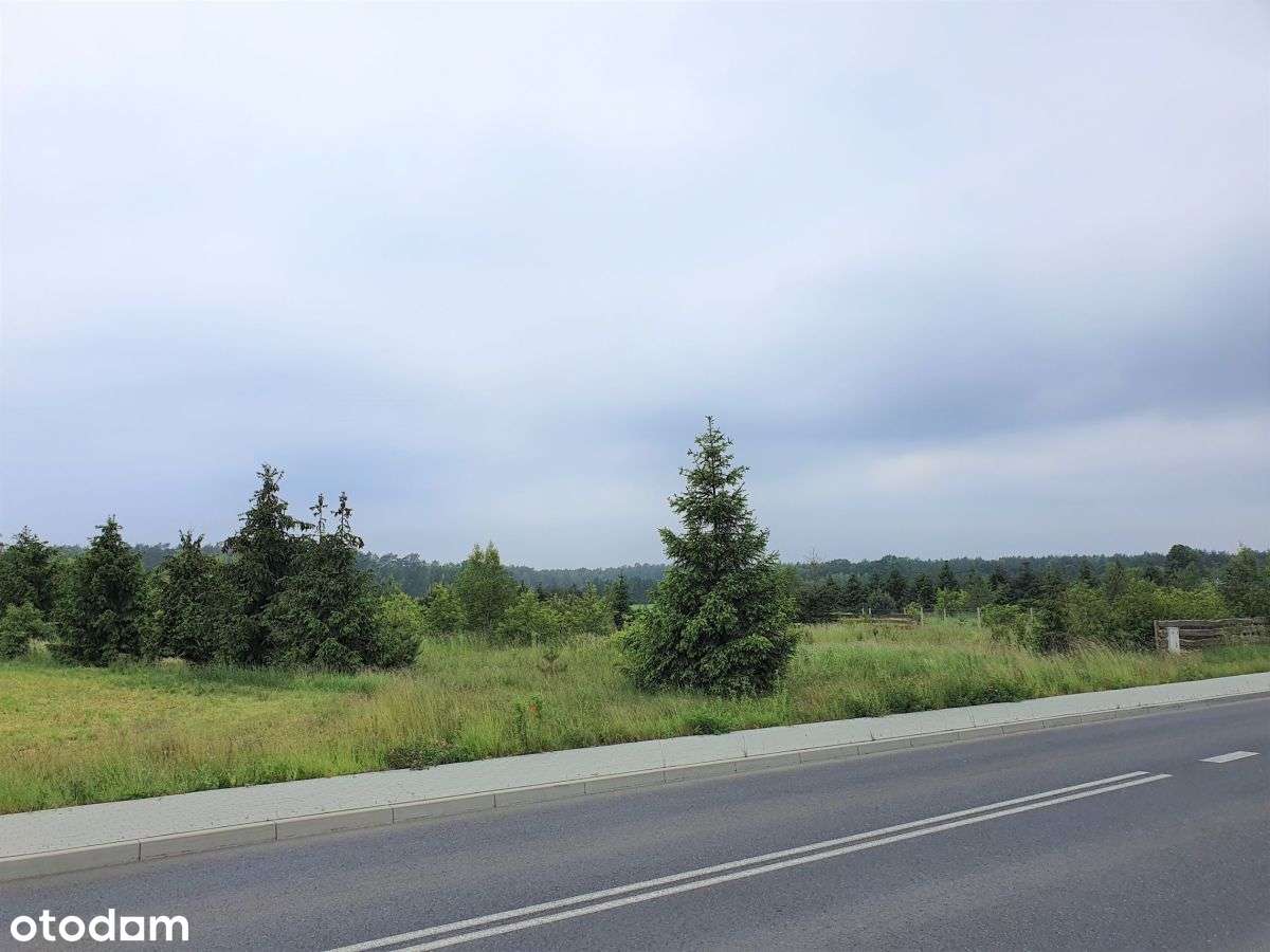 Lipki, urokliwa, dobry dojazd do Poznania - Pełny obrazek: 4/4