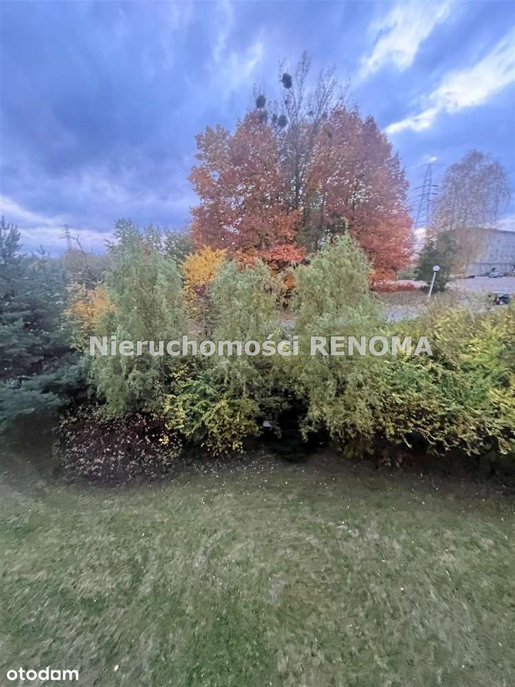 Na sprzedaż M-2 ul.Górnicza Jastrzębie-Zdrój - Pełny obrazek: 4/8