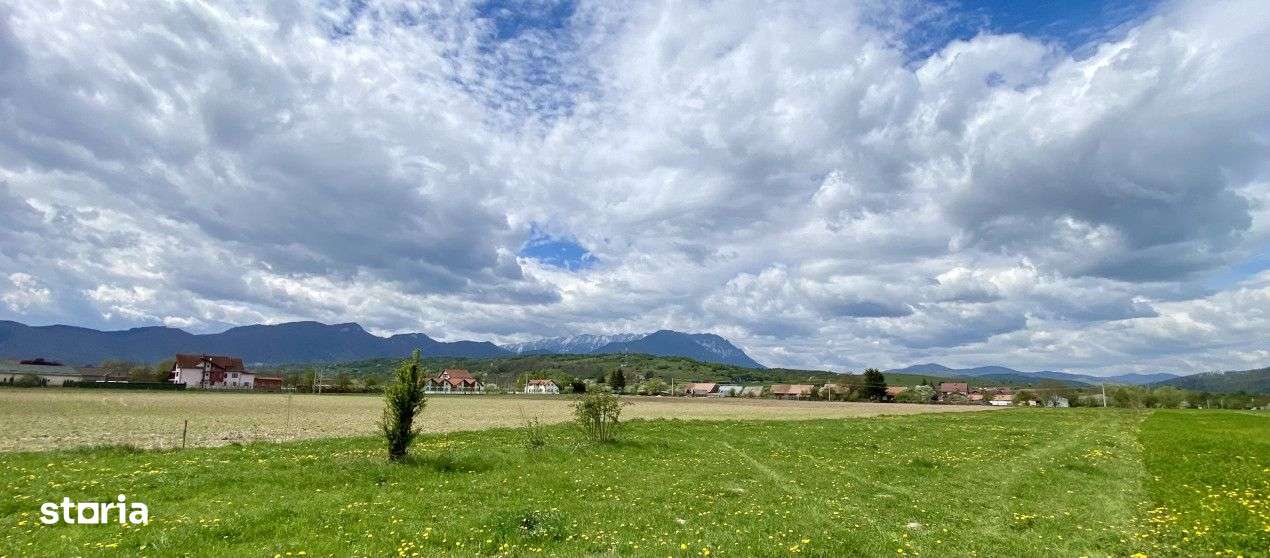 Teren plat P +4 Bran, panoramic munti, DN73, toate utilitatile - Imagine principală: 4/16