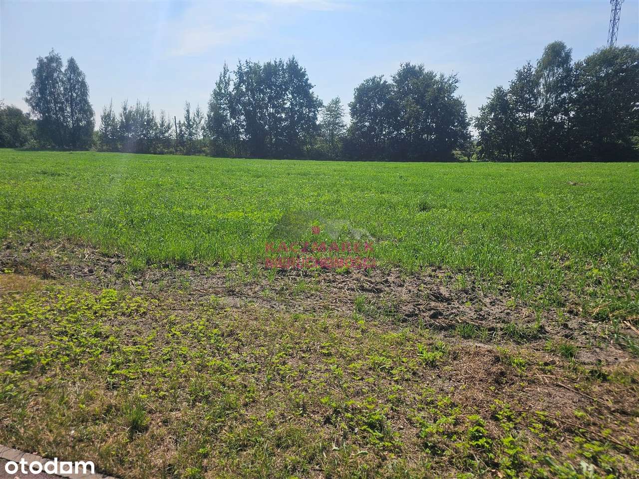 Działka w Pszczynie ul. Łowiecka - Pełny obrazek: 3/6