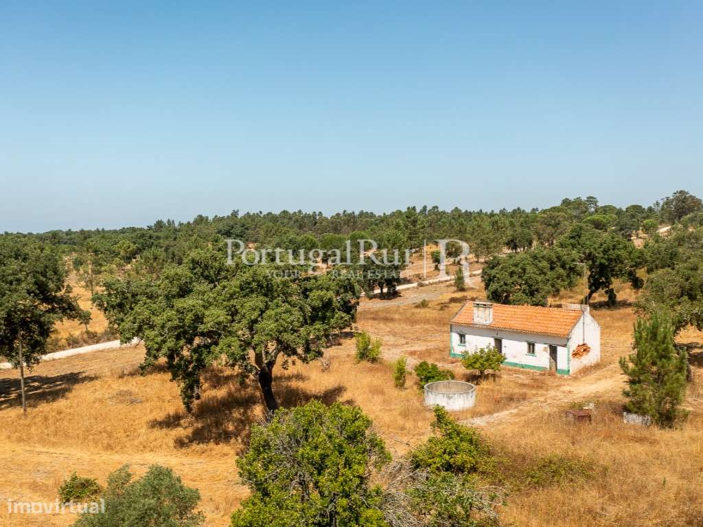 Quinta de 20ha com projeto para Turismo Rural a 1h de Lisboa-4
