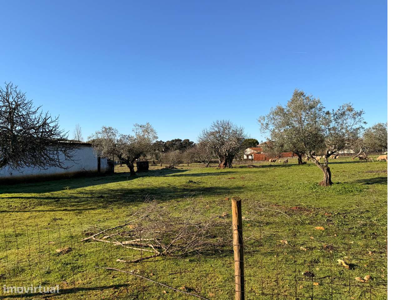 Oportunidade de Investimento: Terreno Urbanizável com 8 Hectares - Grande imagem: 4/21