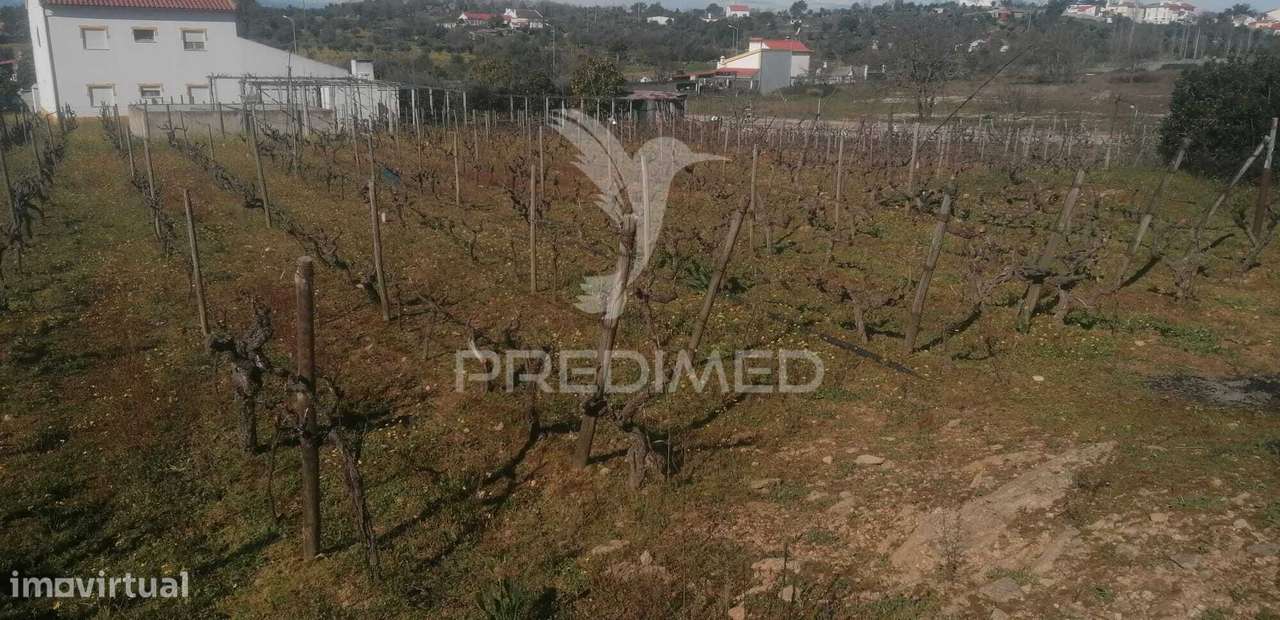 Terreno Industrial - Grande imagem: 5/7