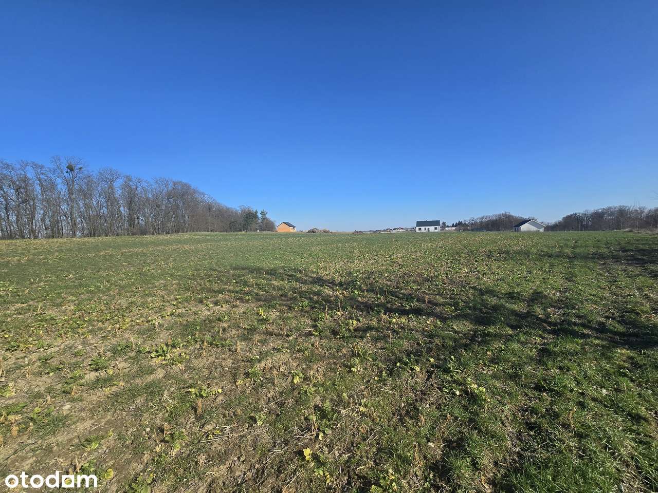3 z 7 działek budowlanych w Lubiatówku-5
