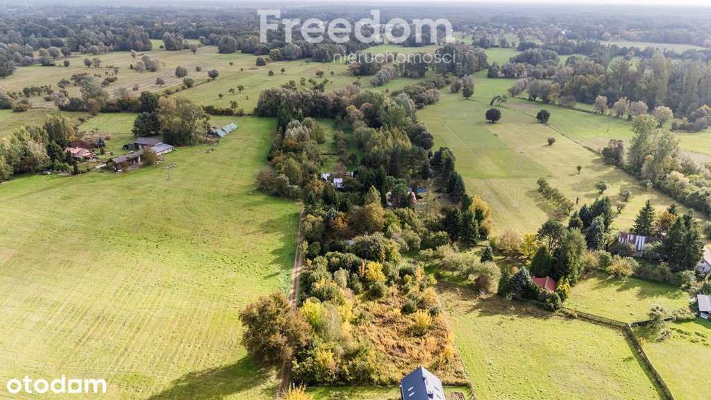 działka z wz położona między Wisłą, a Kampinosem - Pełny obrazek: 5/8