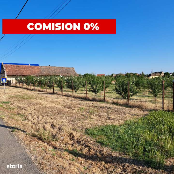 Teren cu livada si Casa veche in Șandra - Imagine principală: 1/4