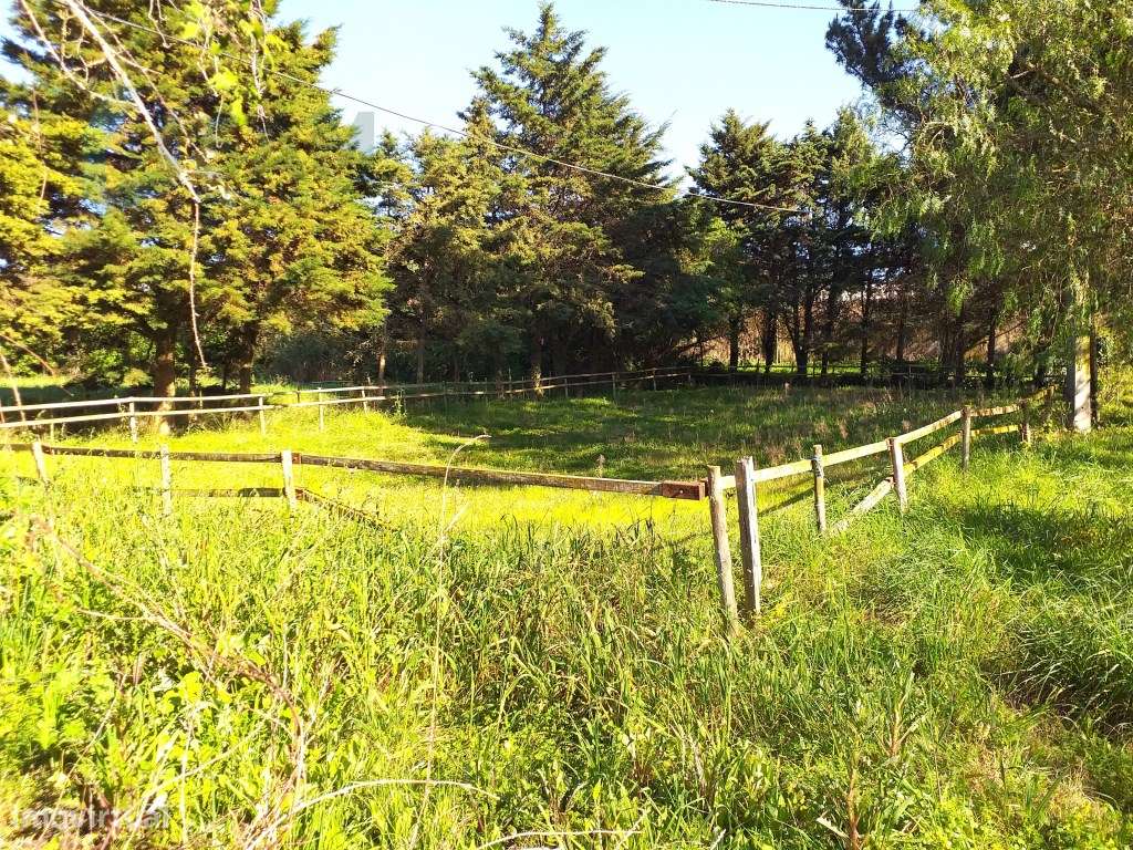 Moradia T6 em Óbidos!-56