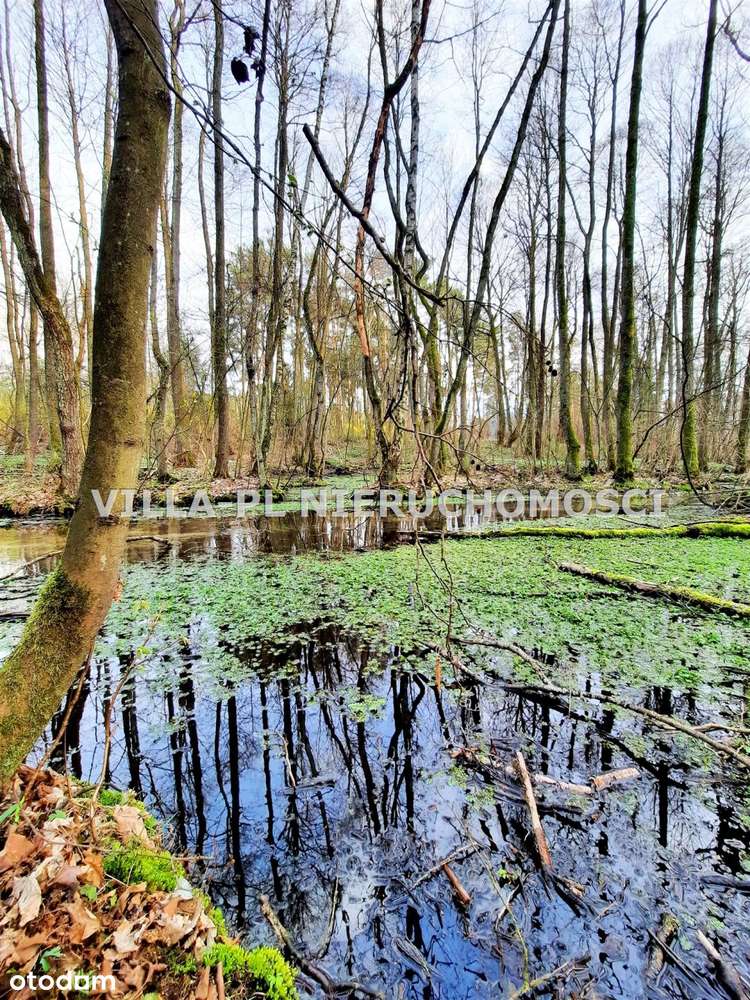 0% działki budowlane różne wielkości do wyboru - Pełny obrazek: 4/4