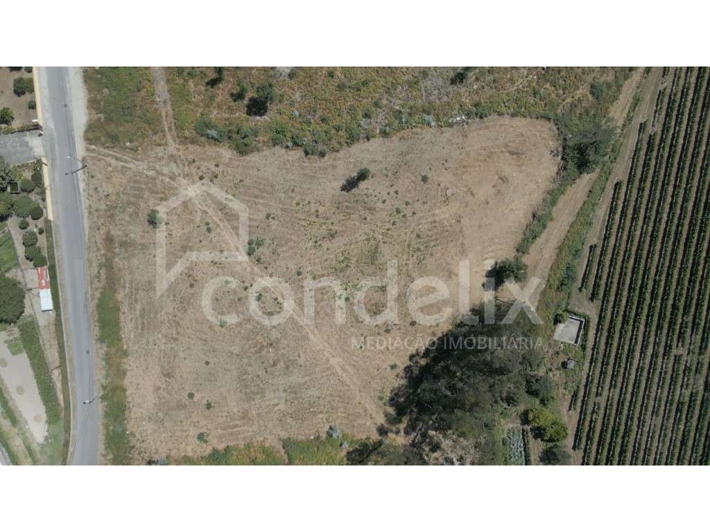 Terreno rústico para venda em Airães, Felgueiras - Grande imagem: 5/9