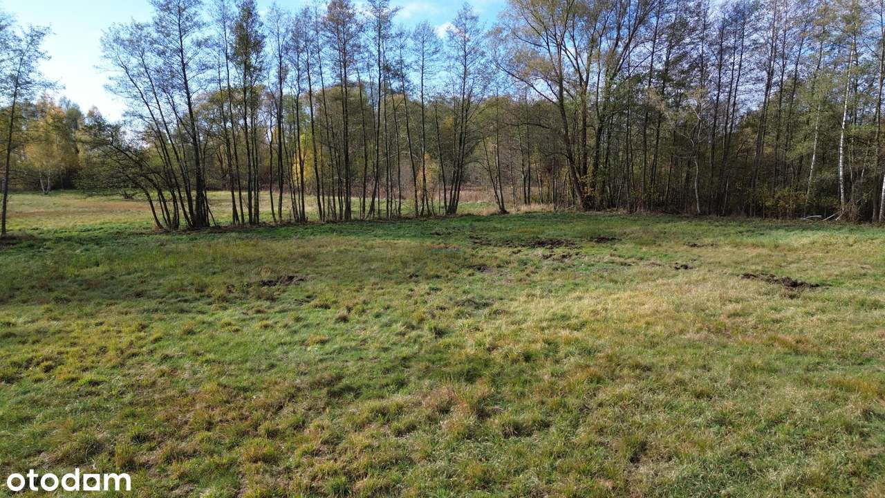 Działkę budowlaną o powierzchni 1100 m - Pełny obrazek: 5/8