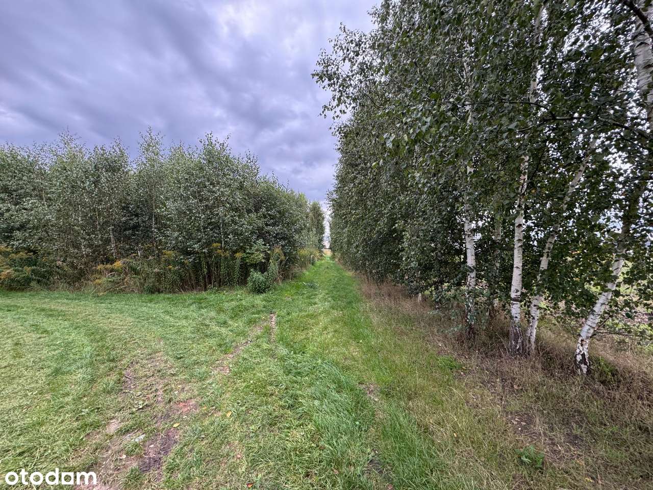 Dachowa | Dwie działki budowlane, łacznie  1552 m² z MPZP-4