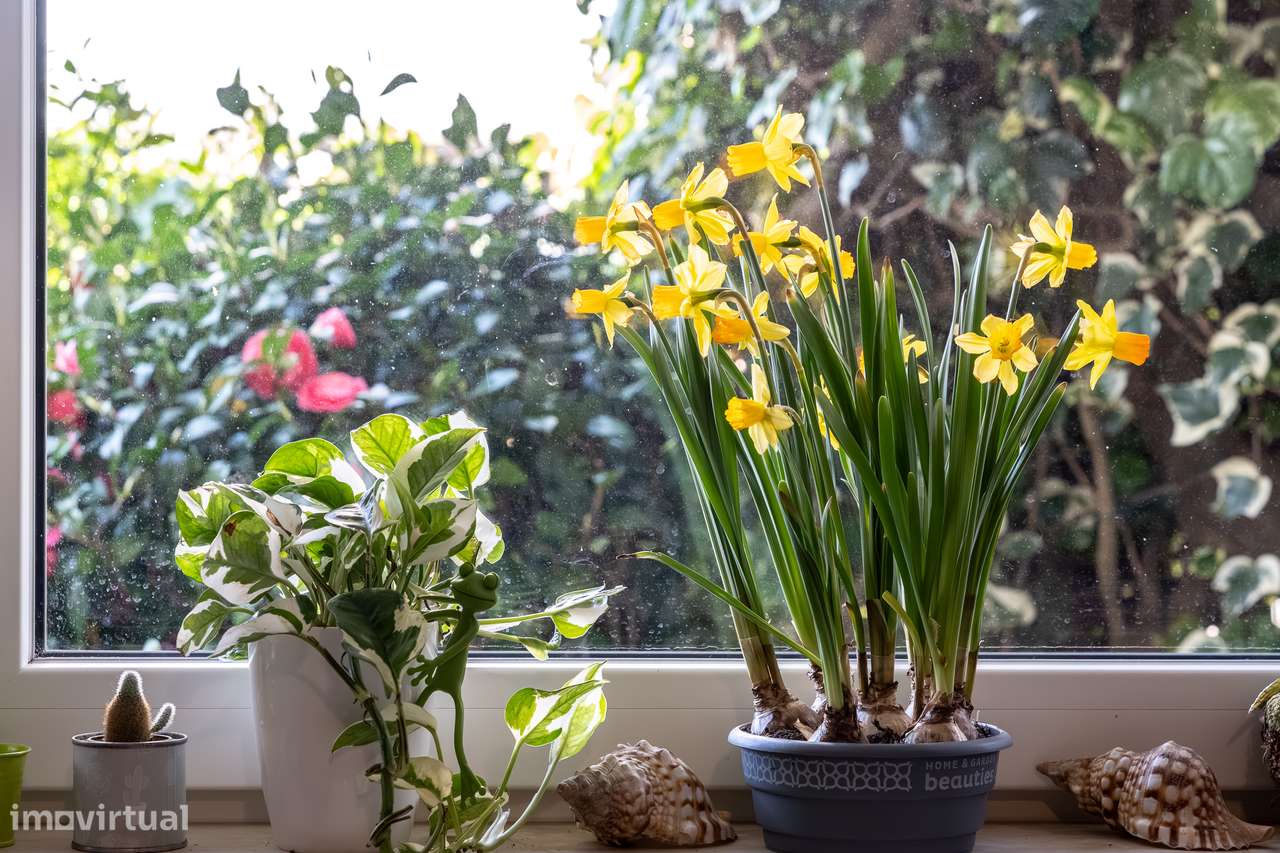 Moradia, 5 quartos, Sintra, Rio de Mouro-14