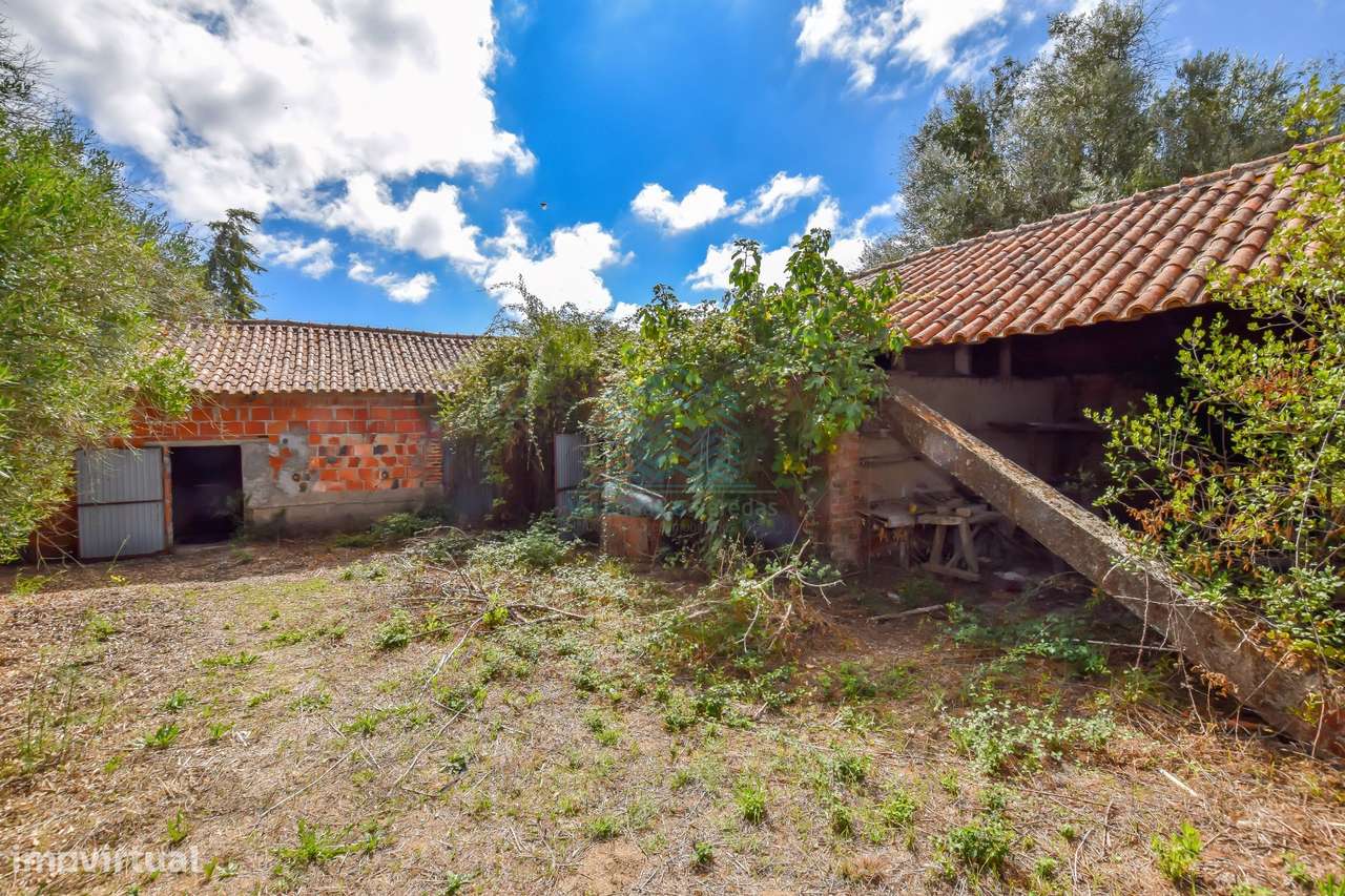 Quinta para remodelar - Torres Novas-21