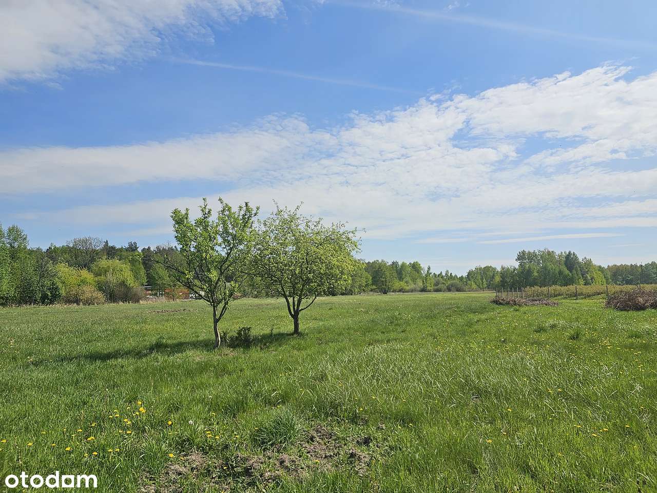 Piękne działki. Uchwalony plan. Obok szkoły, przystanku. Cisza, zieleń-5