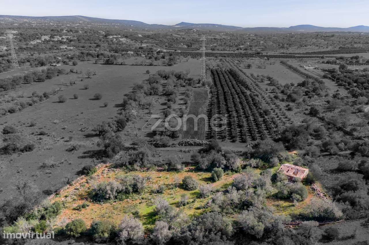 Moradia Isolada em S.B de Messines com terreno de 3840m2 - Grande imagem: 4/26