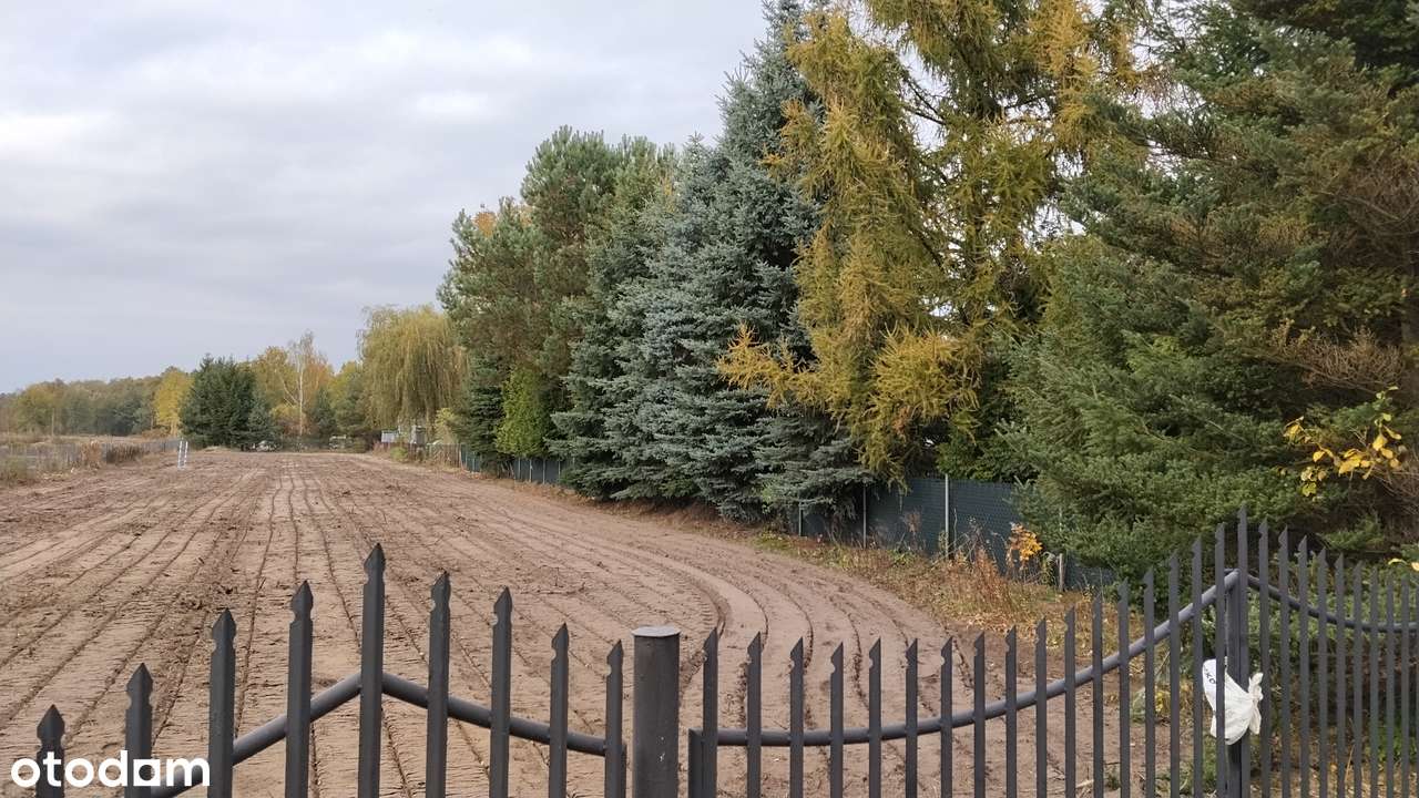 Działka 3000m2 z możliwością podziału - Pełny obrazek: 4/16