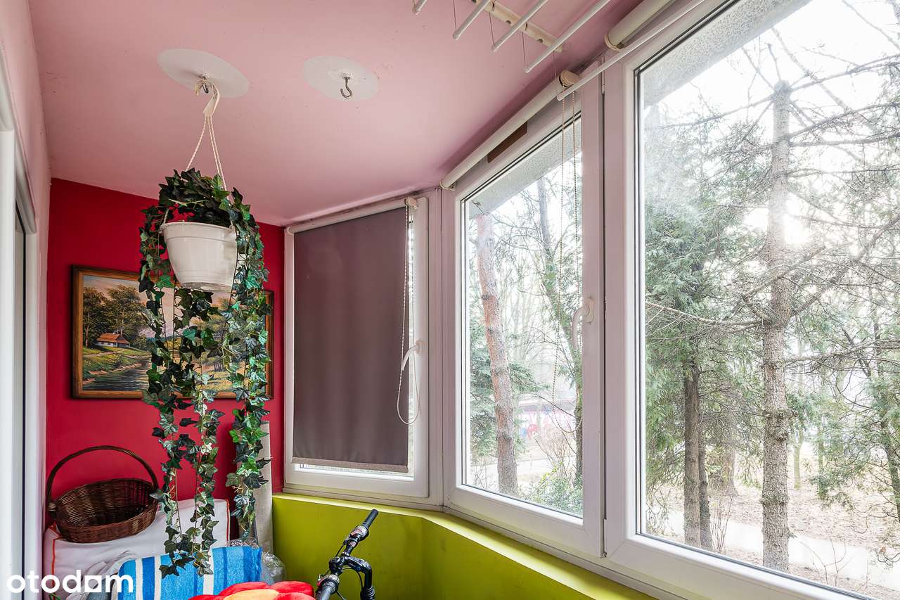 4 pokoje | przestrzenne | po remoncie | świetna lokalizacja-11