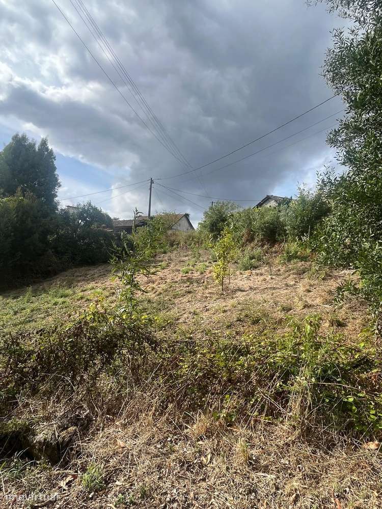 Terreno de Construção em Vitorino de Piães-6
