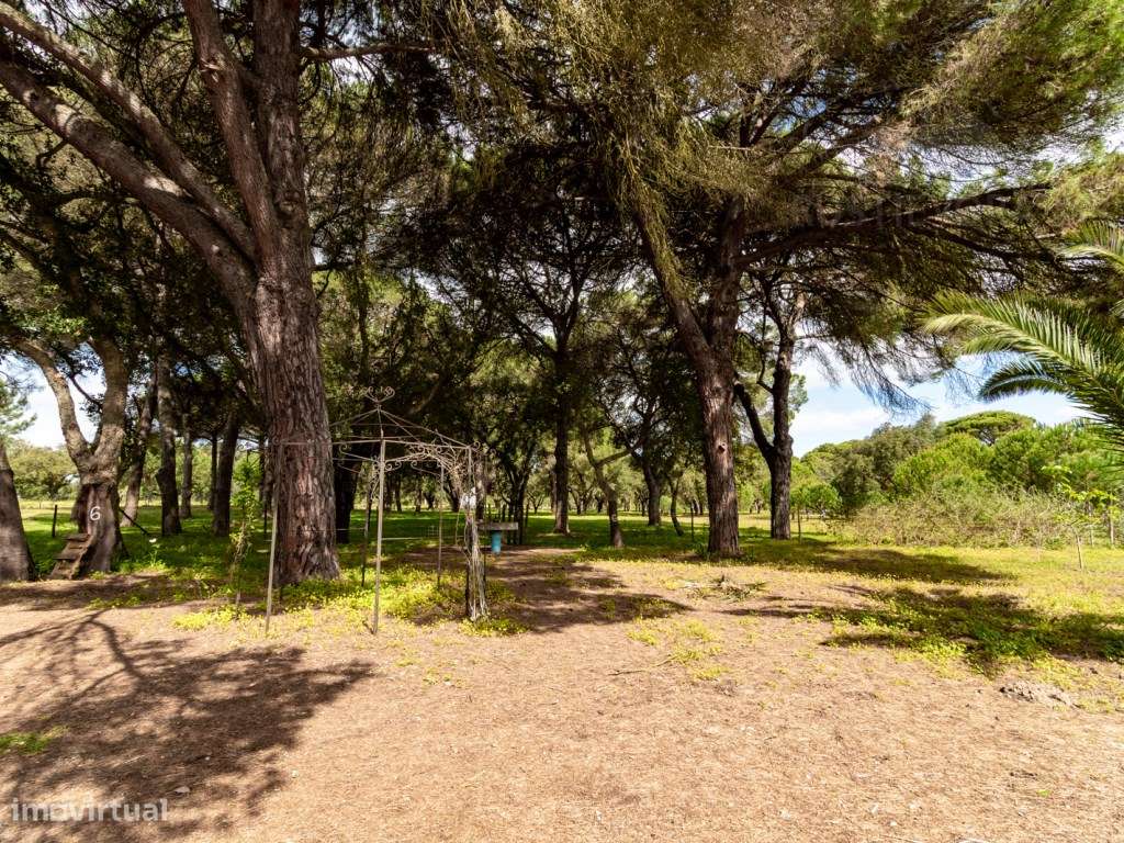 Herdade com 37 Ha com 6 Moradias para Habitação e/ou Turismo | Alcá...-13