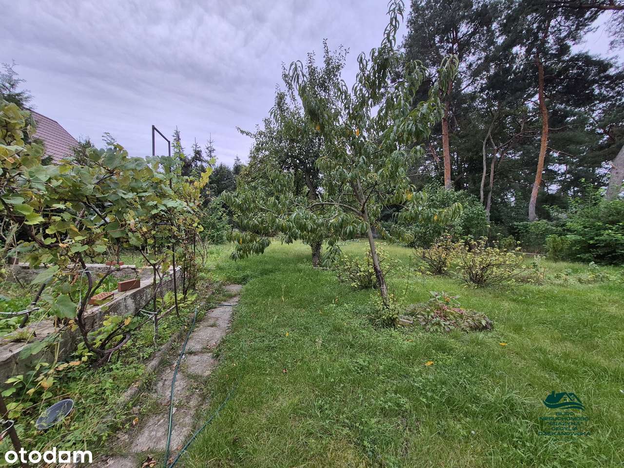 Dom w Ciechocinku 180 m2 z dużą działką-17