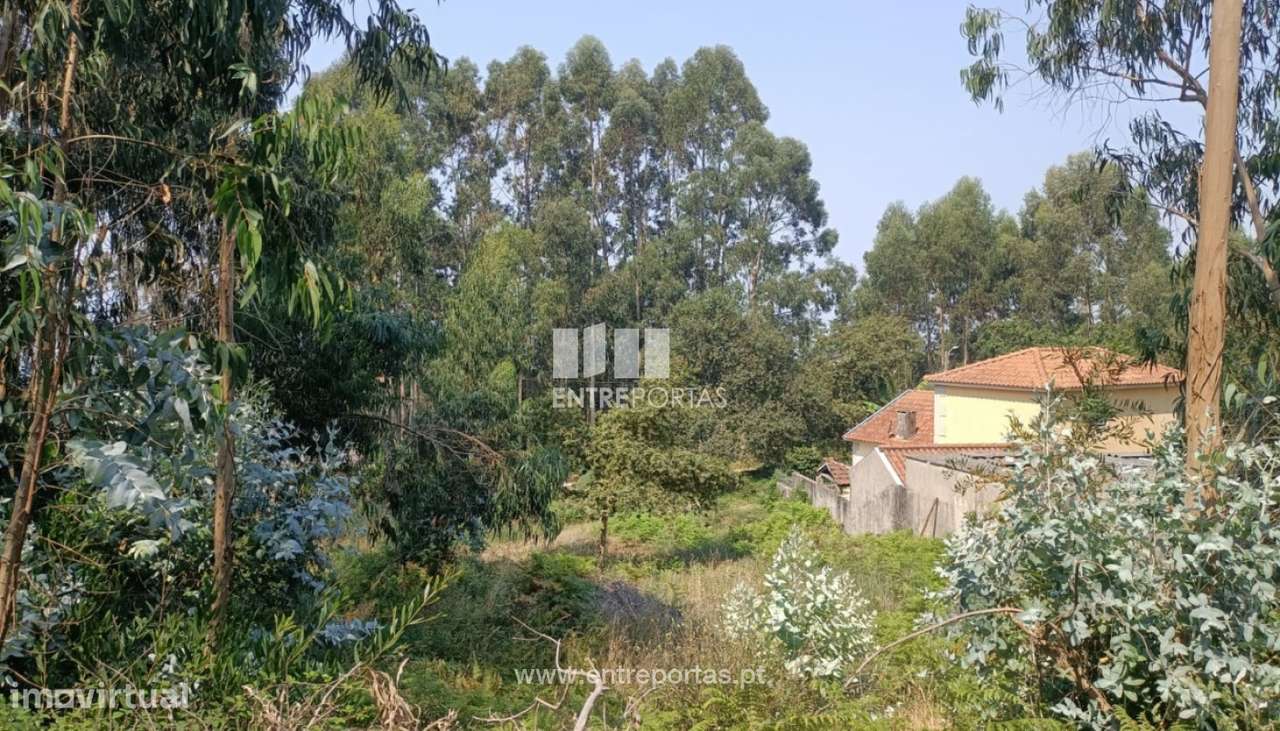 Venda de fantástico terreno para construção, Areosa, Viana do Caste - Grande imagem: 4/28