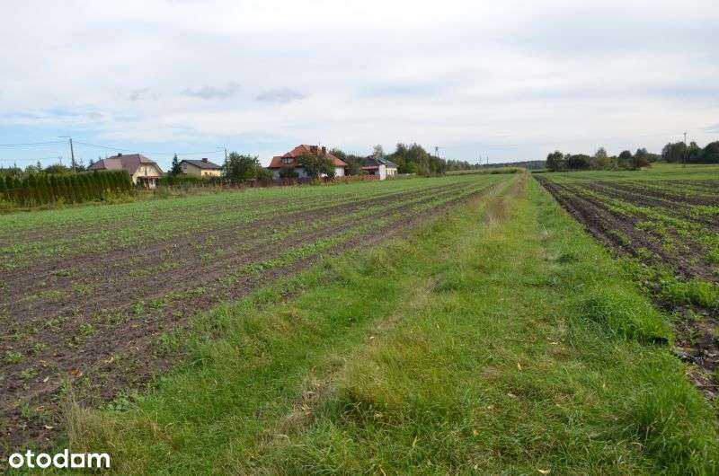 Na sprzedaż działka budowlana w Gostyninie !!! - Pełny obrazek: 5/8