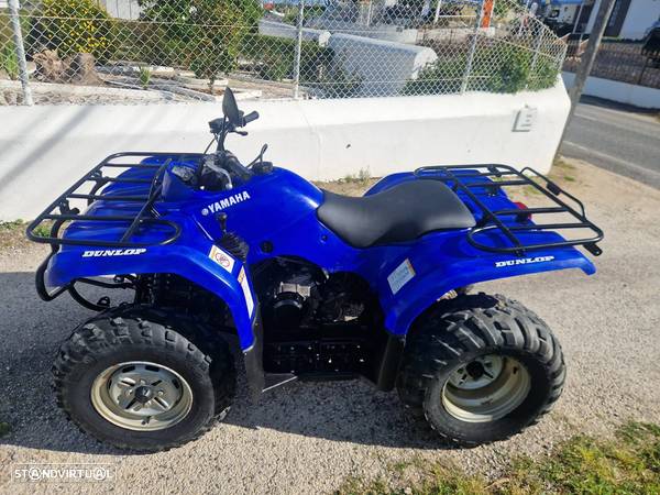 Yamaha Grizzly 350 2x4 Possível Financiamento - 12