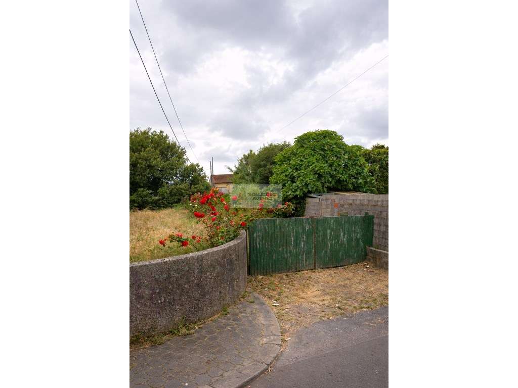 Oportunidade de reabilitação no Bonsucesso - Aradas - Grande imagem: 5/5