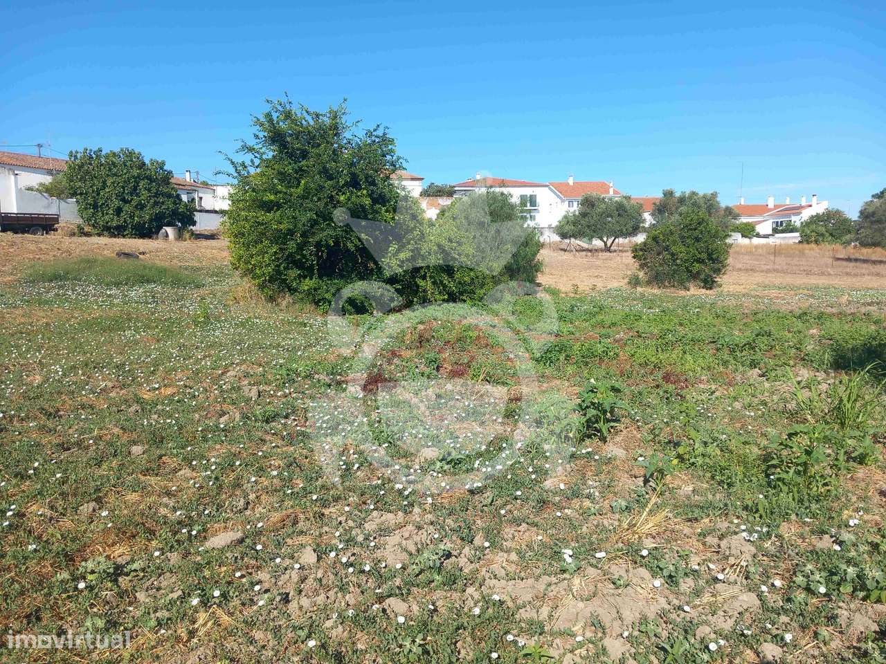 Moradia T4 com Terreno de 8.250m² - Serpa-25