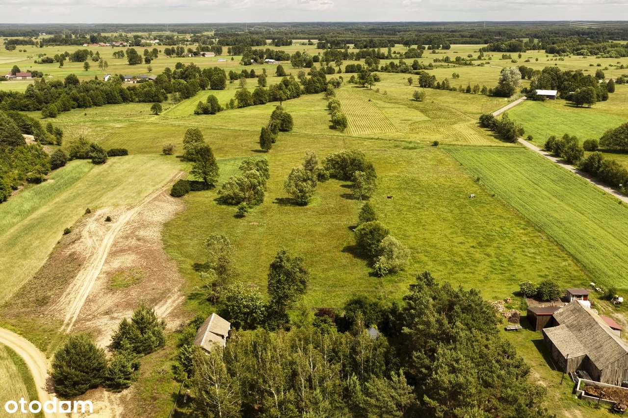 Marianowo g. Długosiodło I 3 działki I warunki zabudowy I pow. 2,06 ha-7