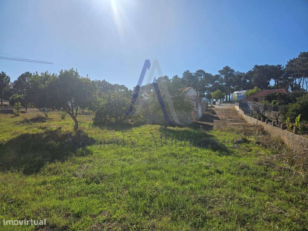Lote de Terreno para construção 3 de Moradias Isoladas - Maçã Sesimbra-7