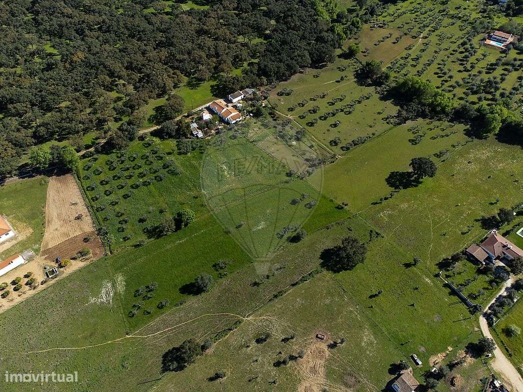 Quinta T6 para venda-3