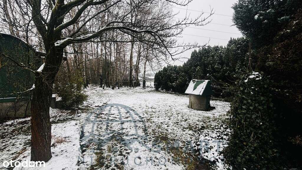 Urocza działka za miastem, Tuszyn, Wodzin-7