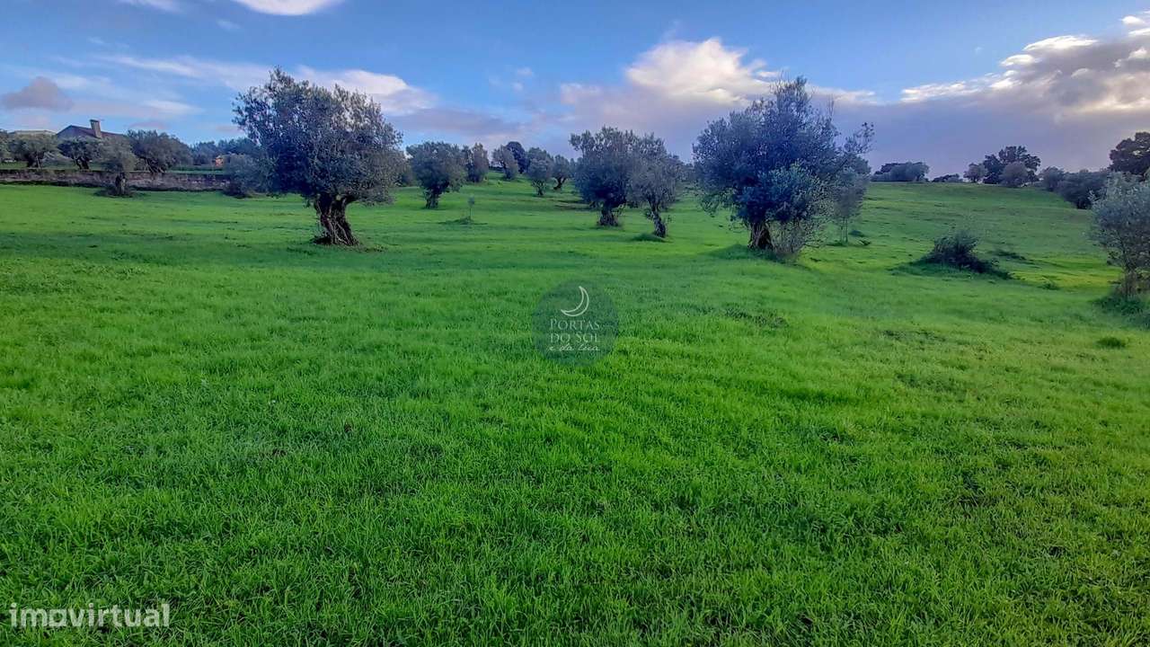 2 Armazéns e Alpendre em 2.040 m2 de Terreno. - Grande imagem: 5/6