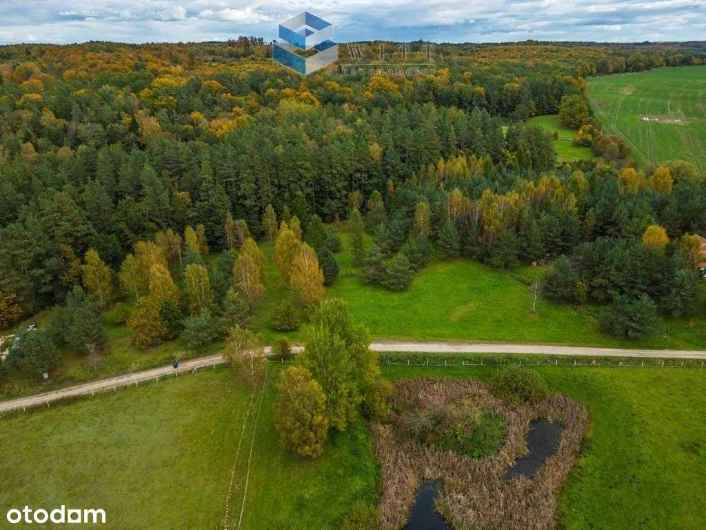 Kraniec nowego osiedla, graniczy z dorodnym lasem - Pełny obrazek: 4/18
